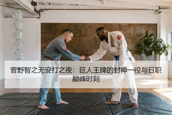 jian-ye-zhi-zhi-wu-an-da-zhi-ye-ju-ren-wang-pai-de-feng-shen-yi-yi-yu-ri-zhi-dian-feng-shi-ke-2-567.jpg